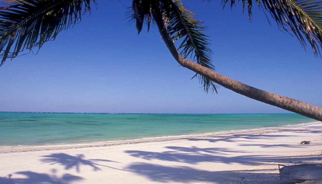 5 Days Zanzibar