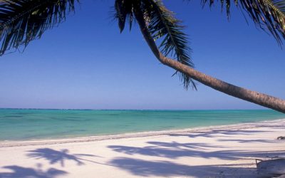 5 Days Zanzibar