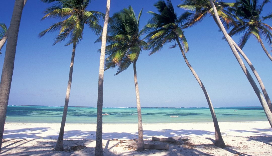 6 Days Bwejuu Beach Zanzibar