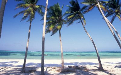 6 Days Bwejuu Beach Zanzibar