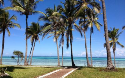 Ten Best Luxury Lodges or camps or Hotels in Tanzania: Our Top 15